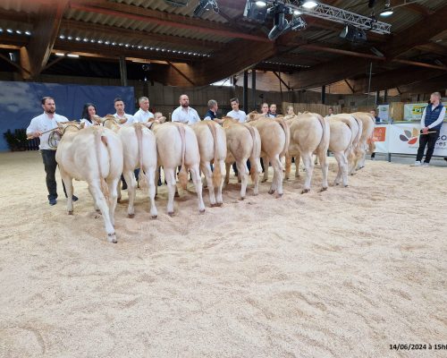 Le jugement des animaux en section